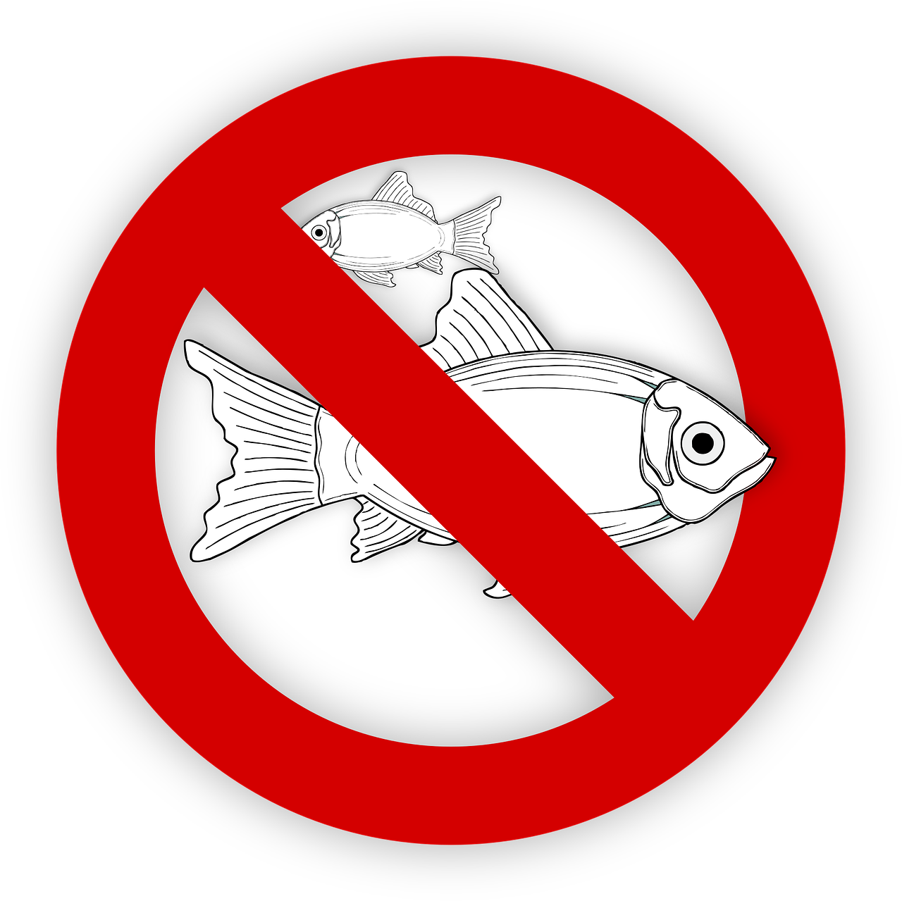pixabay-995050-31.png